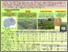 [thumbnail of Petkovski et al., - Genetic and enviromental effect on the grain yield of spring barley varieties cultivated in the Republic of Macedonia.pdf]