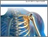 [thumbnail of Orthopedics  Rheumatology-2012 Final Program(1) (3).pdf]