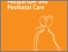 [thumbnail of WHO Technical Consultation on Postpartum and Postnatal Care.pdf]