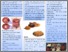 [thumbnail of Colorectal adenocarcinoma post-operative treatment with Chinese herbs.pdf]