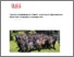 [thumbnail of UGD Life, prof Miloseva, Brescia, Italy 2019.pdf]